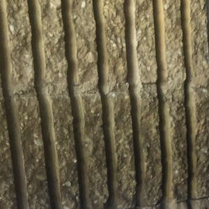 Meet your Posher, Nita